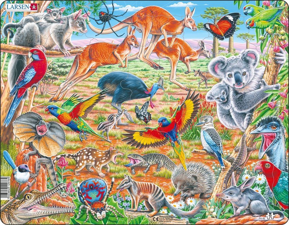 Животные Австралии Фото Для Детей