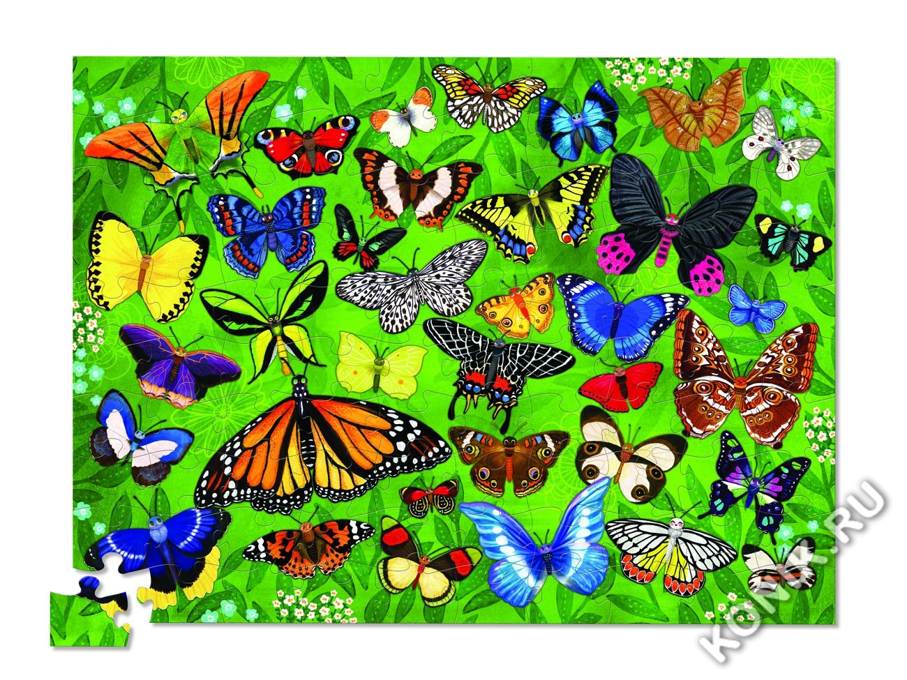 Пазл бабочка. Разнообразие бабочек. Много разных бабочек. Пазл бабочка для детей. Бабочки коллаж.