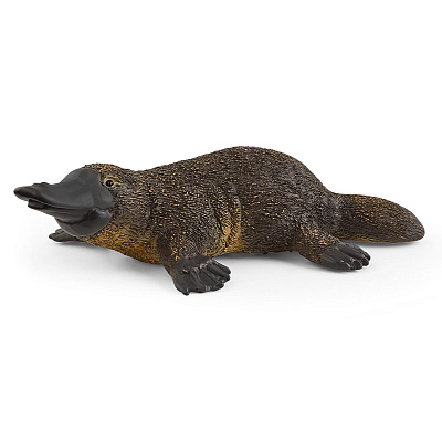 картинка Утконос от магазина konik.ru