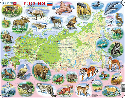 картинка K50 - Россия (Русский) от магазина konik.ru