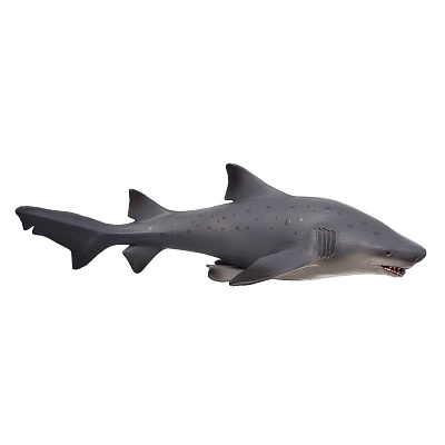картинка Фигурка KONIK «Обыкновенная песчаная акула, большая» (выставочный образец) от магазина konik.ru