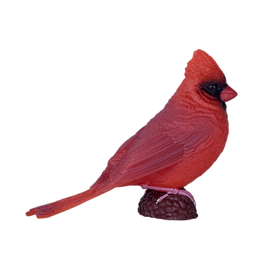картинка Кардинал красный от магазина konik.ru