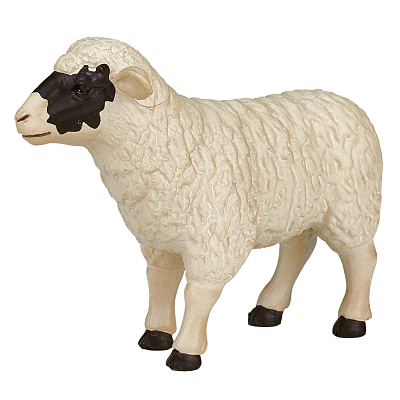 картинка Фигурка KONIK «Шотландская черноголовая овца» от магазина konik.ru