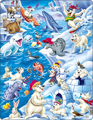 картинка Пазл «Арктика», 36 эл., шт от магазина konik.ru