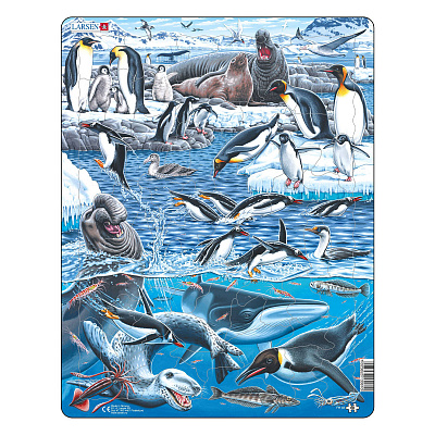 картинка Пазл Larsen «Животный мир Антарктики» от магазина konik.ru