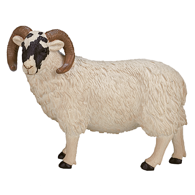 картинка Шотландский черноголовый баран от магазина konik.ru