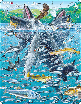 картинка Пазл Larsen «Горбатые киты в стае сельди», 140 эл. от магазина konik.ru