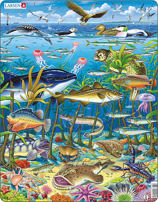 картинка Пазл «Водоросли», 60 эл. от магазина konik.ru