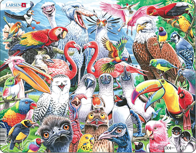 картинка Пазл Larsen «Птицы в саду», 115 эл. от магазина konik.ru
